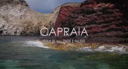 Capraia isola di ali, onde e falesie