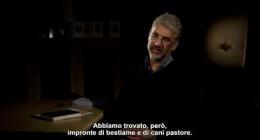 Il ghepardo asiatico dell'Iran